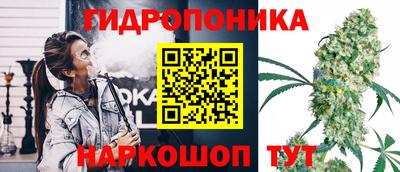 марихуана Будённовск