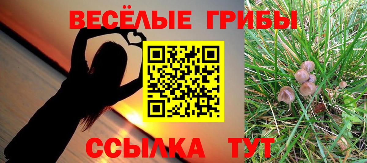 Галлюциногенные грибы Psilocybe Семёнов