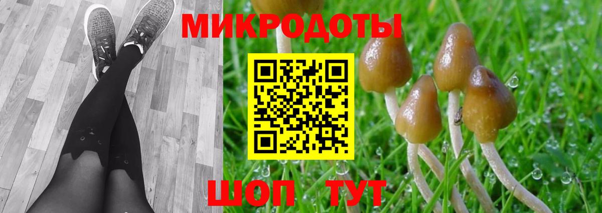 Семёнов  Галлюциногенные грибы Psilocybe  Вход с VPN 